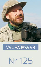nr_val